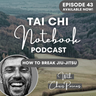 Ep 43: How to break Jiu-Jitsu with Chris Paines