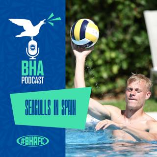 Inside pre-season: Seagulls in Spain