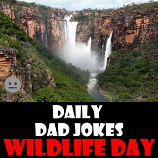 [No Laughter Version] National Wildlife Day! 56 nature inspired dad jokes! 04 September 2025
