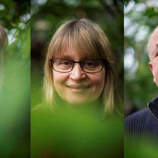 Naturpanelen om bävrar, flygmyror och vattensprutande växter