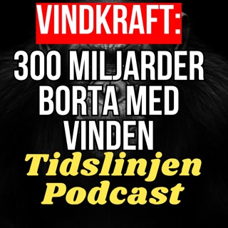 #52 - Vindkraftens totala kollaps i Norrland – Christian Steinbeck om paniken i branschen