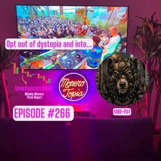 XMR-Pay w/ SlowBearDigger! + Price, News & More! | EPI 266