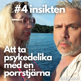 #4 - Insikten