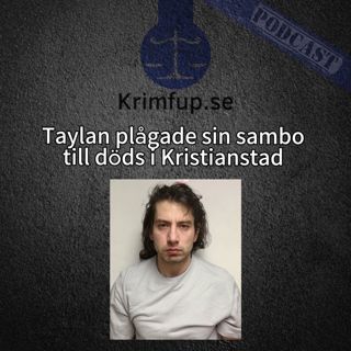 Vincenzos vittnesförhör - Taylan Ceylan plÄgade sambon till döds, dömd till 17 Ärs fÀngelse