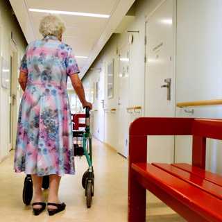 Agendas agenda och magisk mammabild