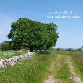 Ja visst gör det ont när stockholmare flockas