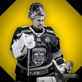 060 / Keikkamies paljon vartijana