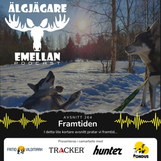 264. Framtiden