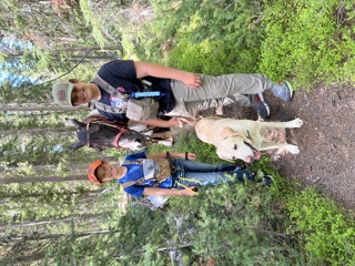 Dogs for Backcountry Hunting