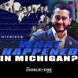 What Happened in Michigan?