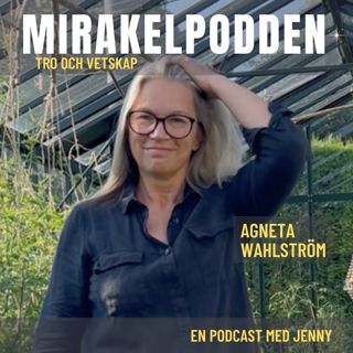 29. Agneta Wahlström - Shamanism och AI, spar tid som introvert och högkänslig