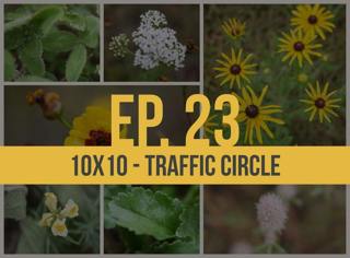 10x10 - Traffic Circle