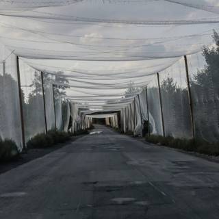 Inside Ukraine’s kill zone