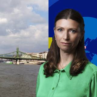 Så styrs ungersk politik av ekonomin