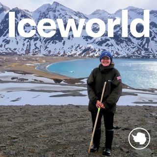 S4 Ep9: A carnival of polar animals, with Katie Wells