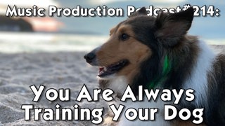 #214: You Are Always Training Your Dog