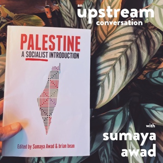 Palestine Ep. 1: A Socialist Introduction with Sumaya Awad
