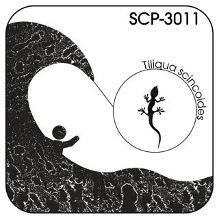 SCP-3011: Loose Skinks Sink Ships