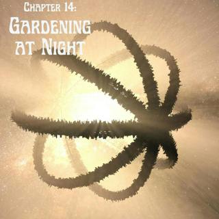 Chapter 14: Gardening at Night.