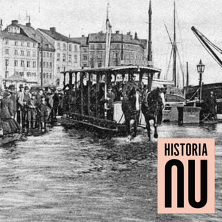 Hästens förvandling från maktsymbol till jordens slitvarg