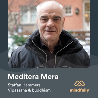 Staffan Hammers - Om meditation, Vipassana och buddhism