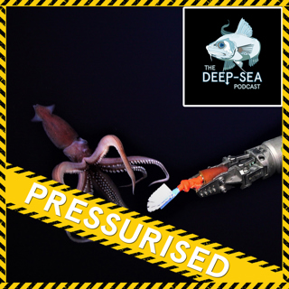 PRESSURISED: 070 – How to Pilot an ROV with JRod