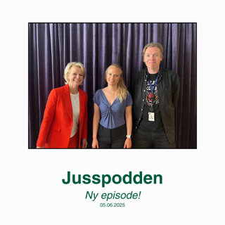 §239 Blir vi tryggere hvis politiet alltid går med våpen?