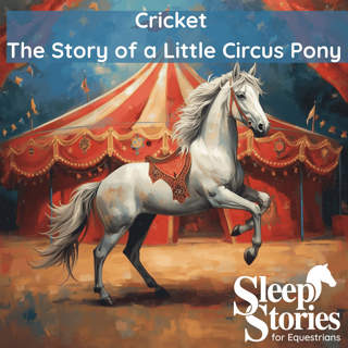 Pt. 3 Cricket the Story of a Little Circus Pony by Berta & Emler Hader