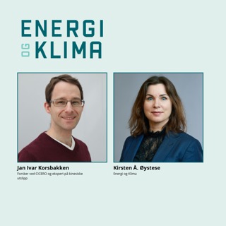 Har Kinas utslipp nådd toppen? 