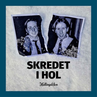 Skredet i Hol (1:1)