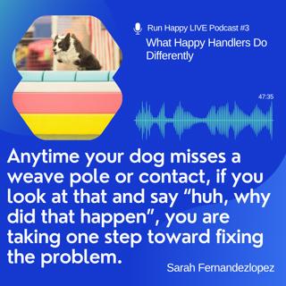 Run Happy Series: What Happy Handlers Do Differently
