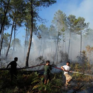 In Bordeaux as the wildfires close in