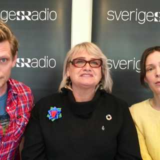 252: Soraya Post (Fi): Man ska inte taktikrösta