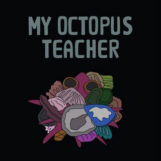 My Octopus Teacher (2020)