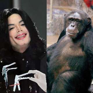 Onsdag 06.03 - Michael Jackson, Julius og Therese Narvesen