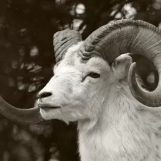 2026 Astrology: Mars and Getting what you want.m4a