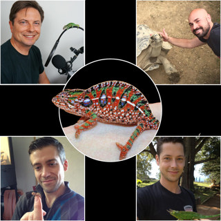 Ep 84: Carpet Chameleon Roundtable