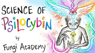 Science of Psilocybin - How it Works & Why it Exists | After Skool