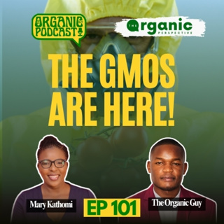 GMOs Are Here, Kenya’s Sugar Scam & Why Museveni Avoids Rice | The Organic Perspective | Ep 101