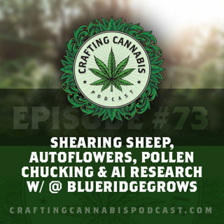 #73 - Shearing Sheep, Autoflowers, Pollen Chucking & AI Research w/ @ BlueRidgeGrows