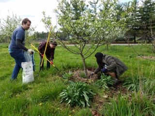 Audio Article - Bloomington Community Orchard