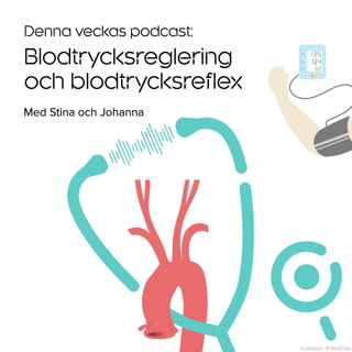 Blodtrycksreglering och blodtrycksreflex