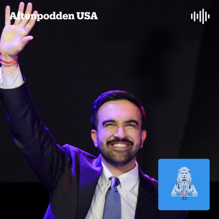 Mamdani - flopp eller vidunder?