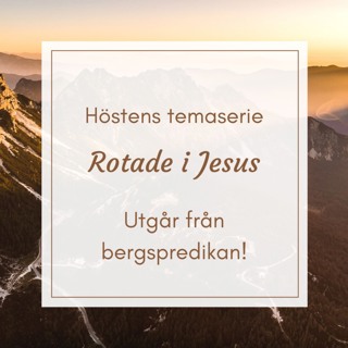20221120 ”Jesu auktoritet” Per Wallin