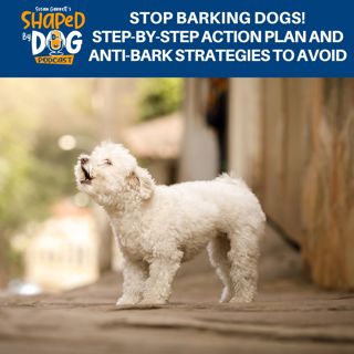 Stop Barking Dogs! Step-By-Step Action Plan And Anti-Bark Strategies To Avoid #240
