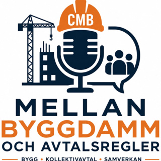 rss-byggdamm-avtalsregler-studio