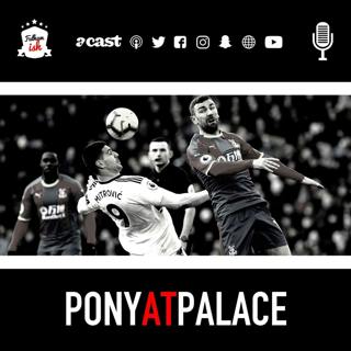 Pony at Palace