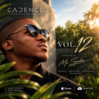 CADENCE [Vol.12] curated by Mr Spike