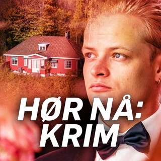 Derfor vil de gi Høiby fotlenke på Skaugum: - Et kompromiss