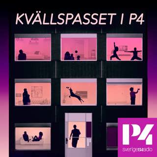 Kvällspasset med Farah Abadi: Polisen svarar på frågor